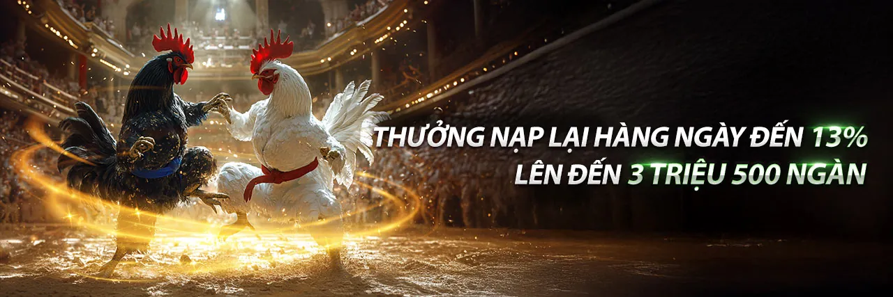 Đá gà trực tuyến 7nohu